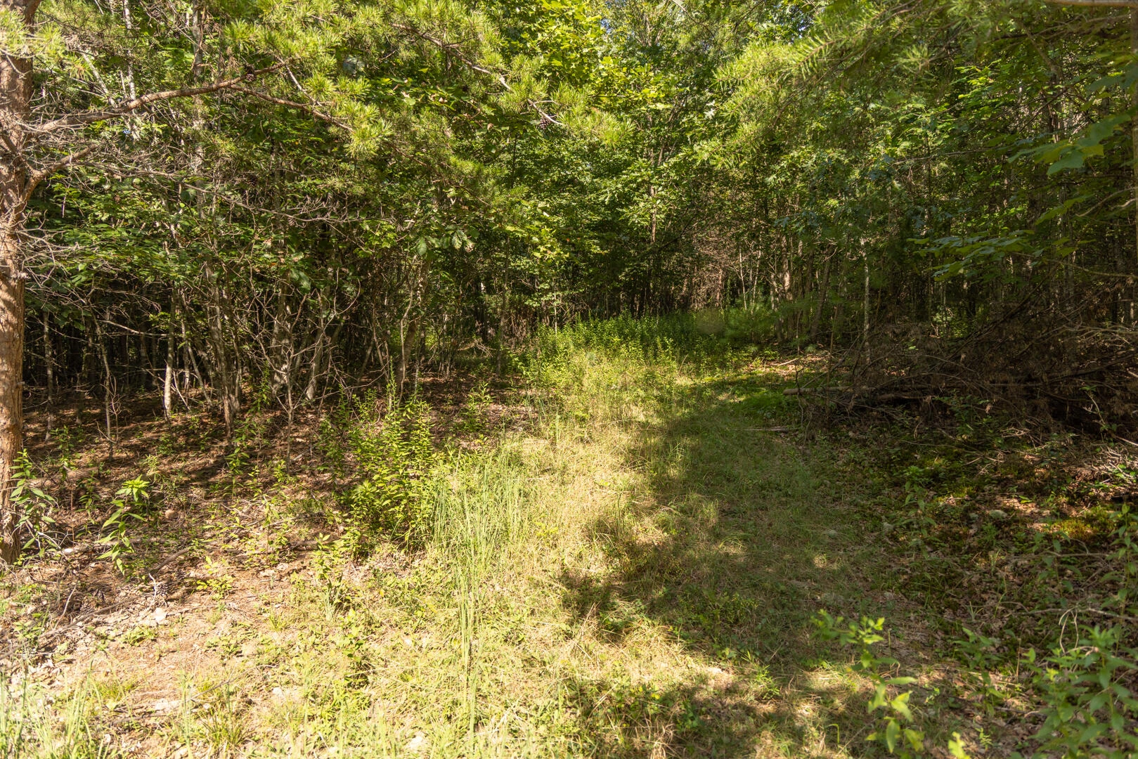 0 Dunbrack Rd - Photo 14