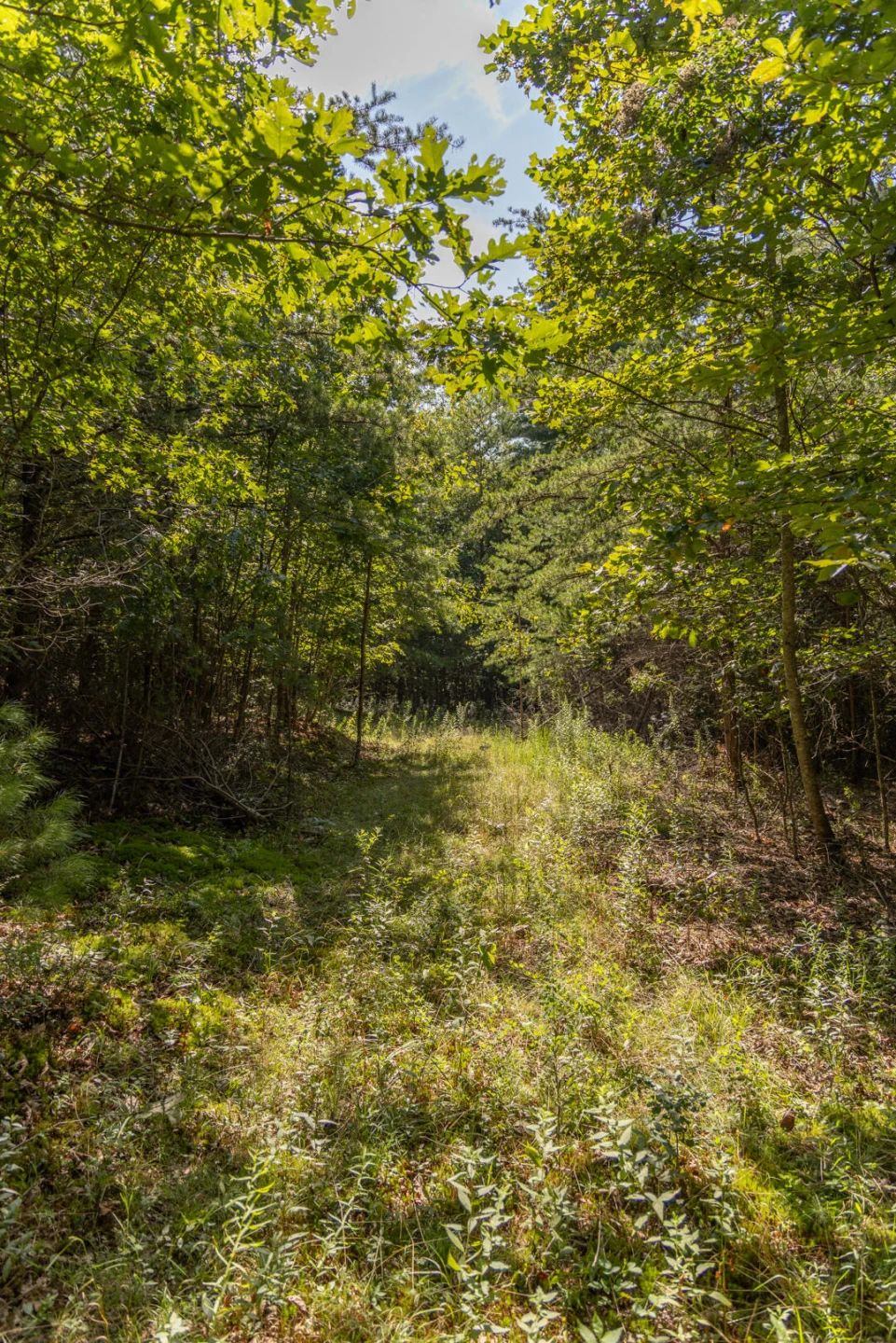 0 Dunbrack Rd - Photo 16
