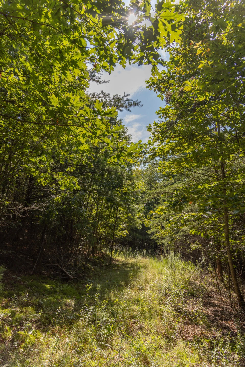 0 Dunbrack Rd - Photo 17
