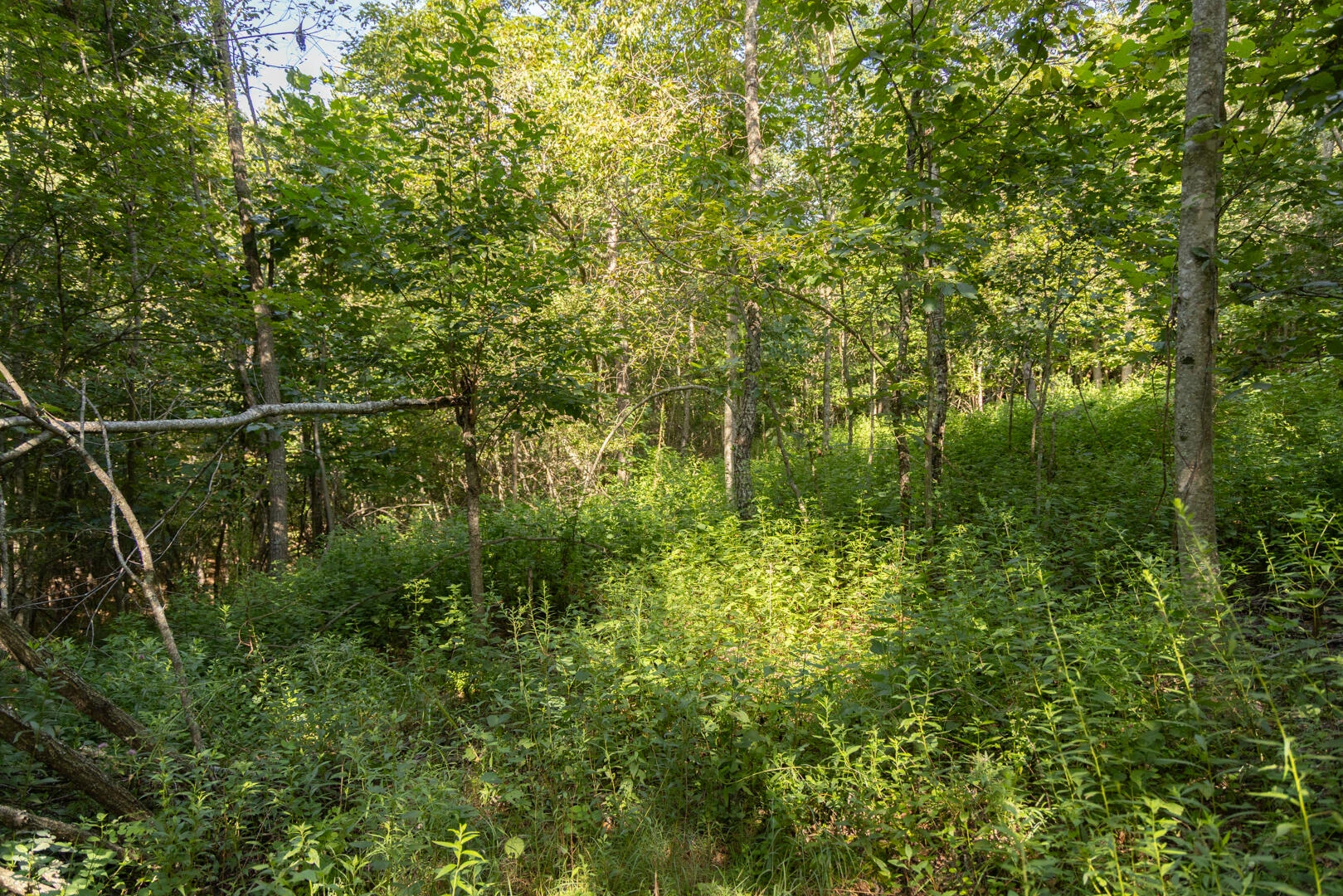0 Dunbrack Rd - Photo 18