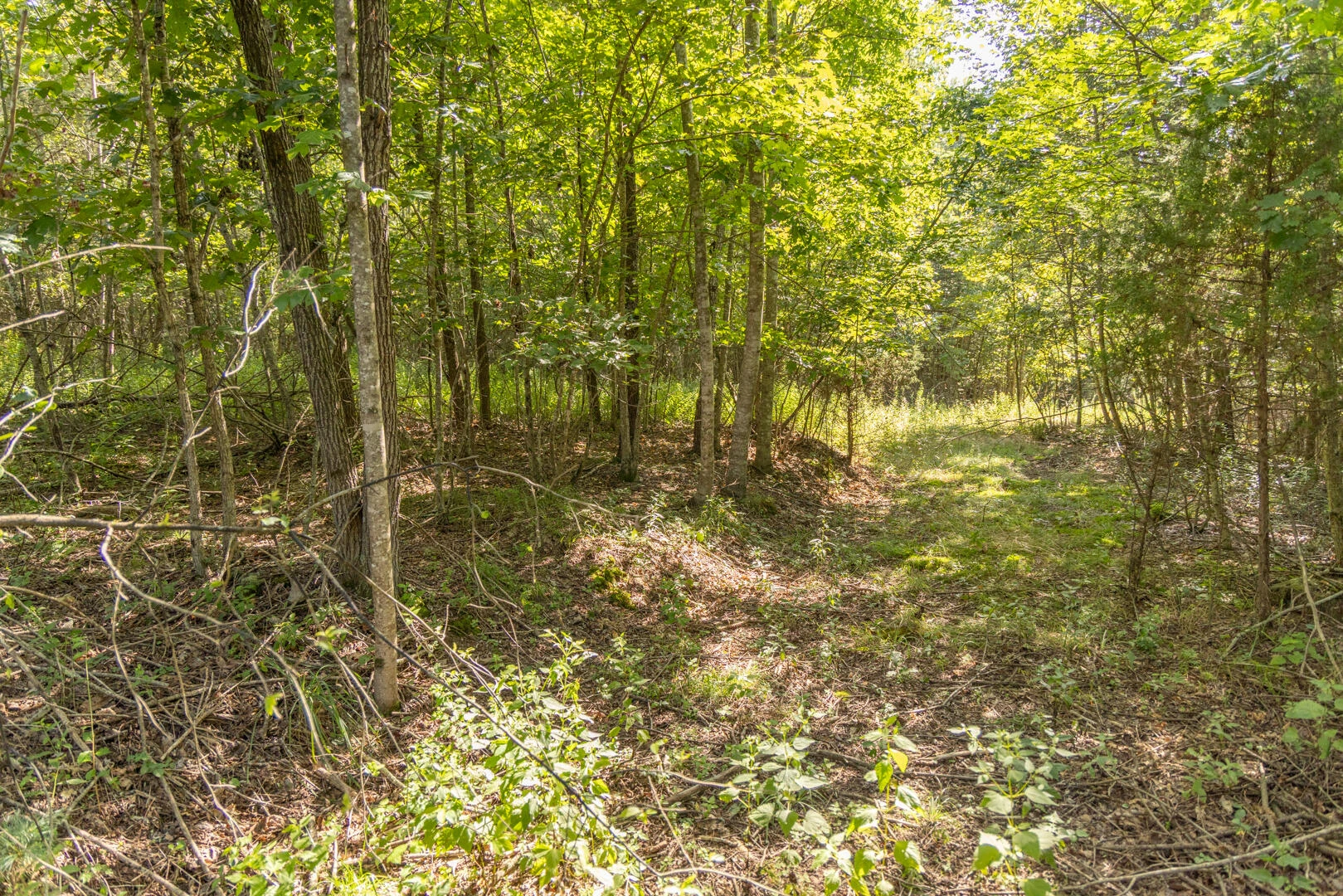 0 Dunbrack Rd - Photo 19