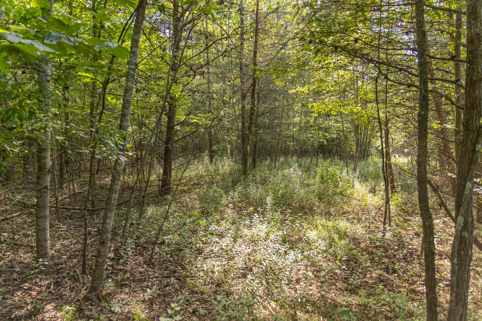 0 Dunbrack Rd - Photo 21