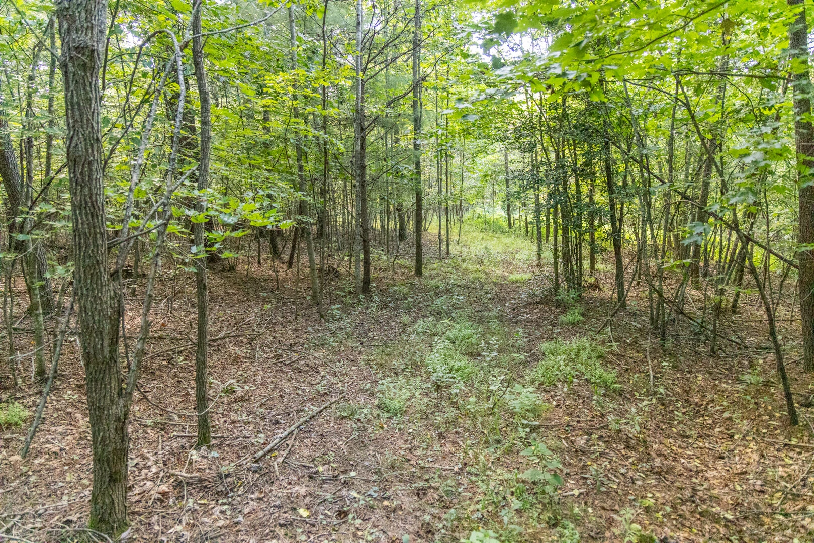 0 Dunbrack Rd - Photo 22
