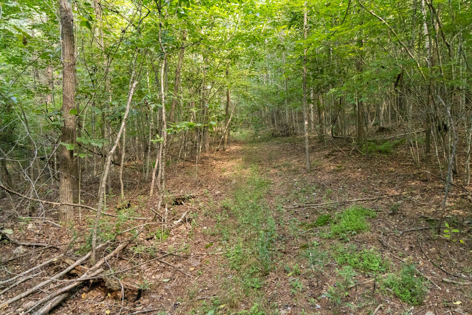 0 Dunbrack Rd - Photo 23