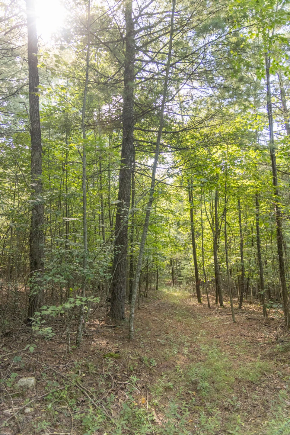 0 Dunbrack Rd - Photo 24