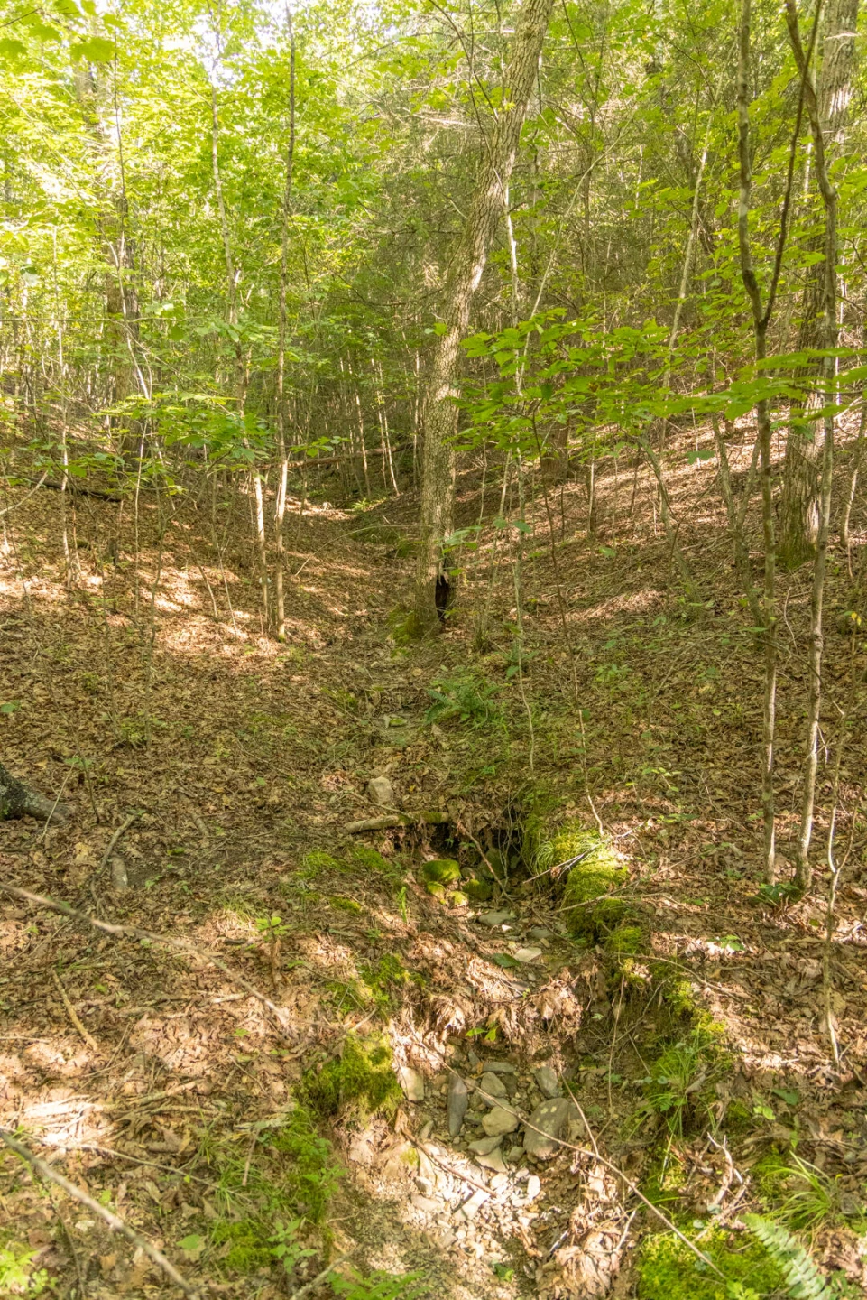 0 Dunbrack Rd - Photo 28