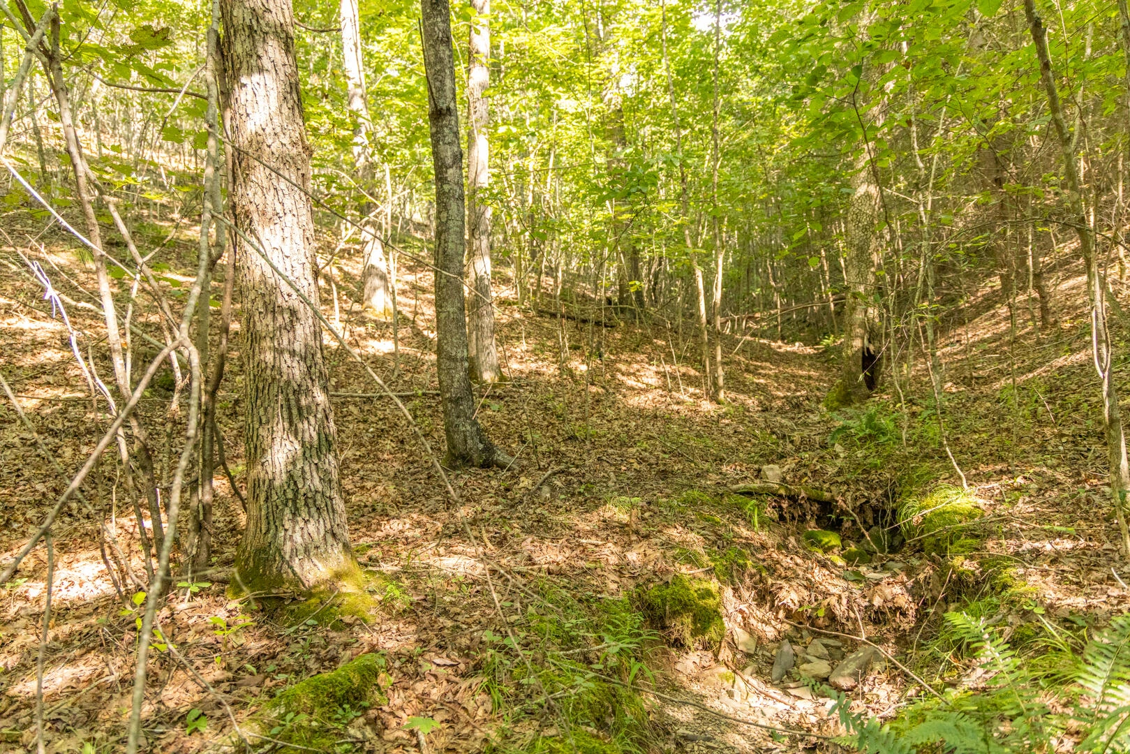 0 Dunbrack Rd - Photo 29