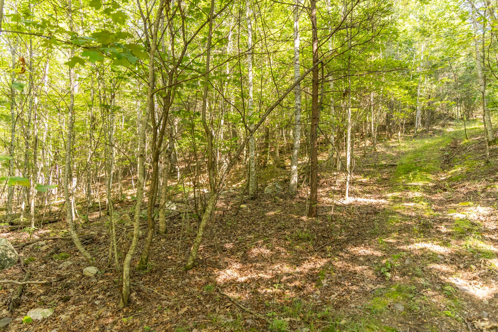 0 Dunbrack Rd - Photo 3