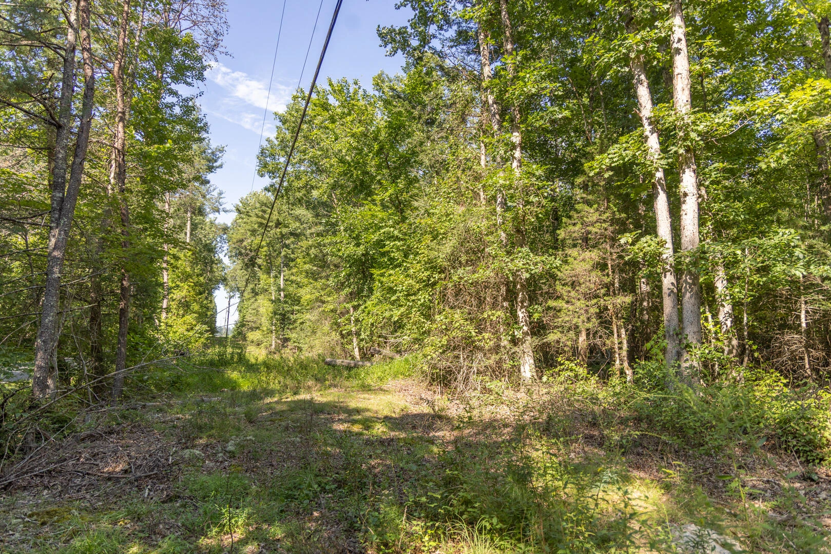 0 Dunbrack Rd - Photo 32
