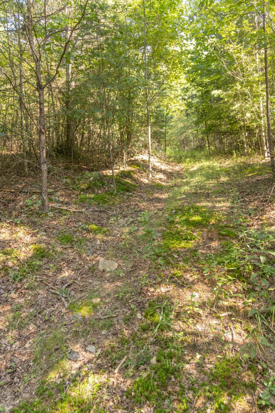 0 Dunbrack Rd - Photo 4
