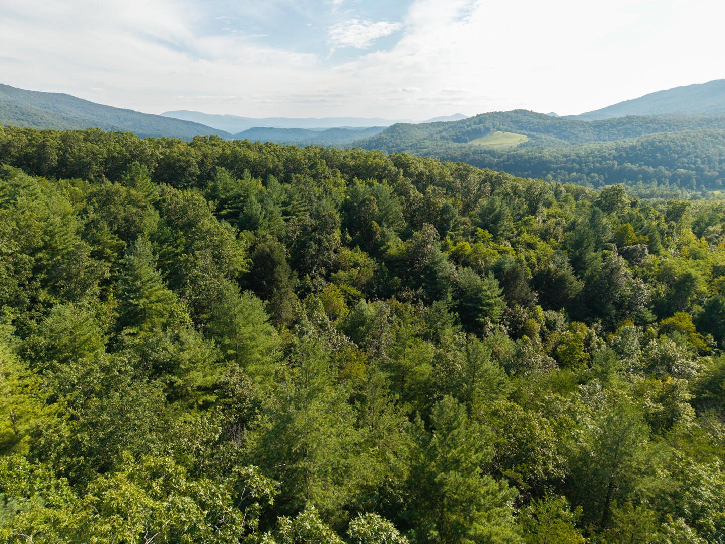 0 Dunbrack Rd - Photo 41