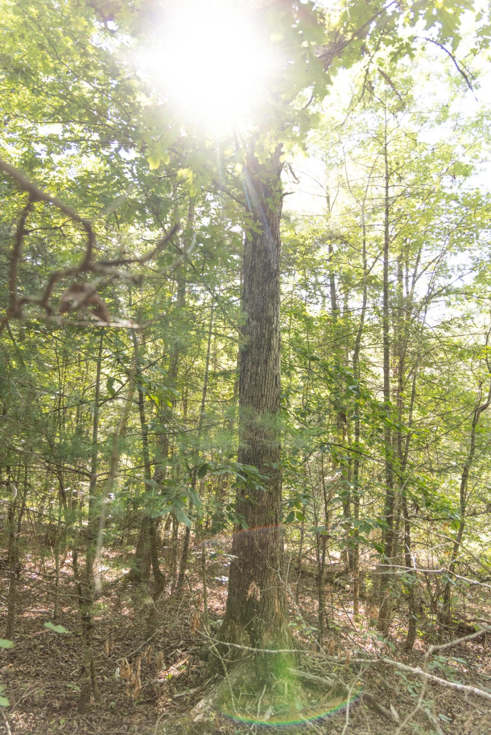 0 Dunbrack Rd - Photo 42