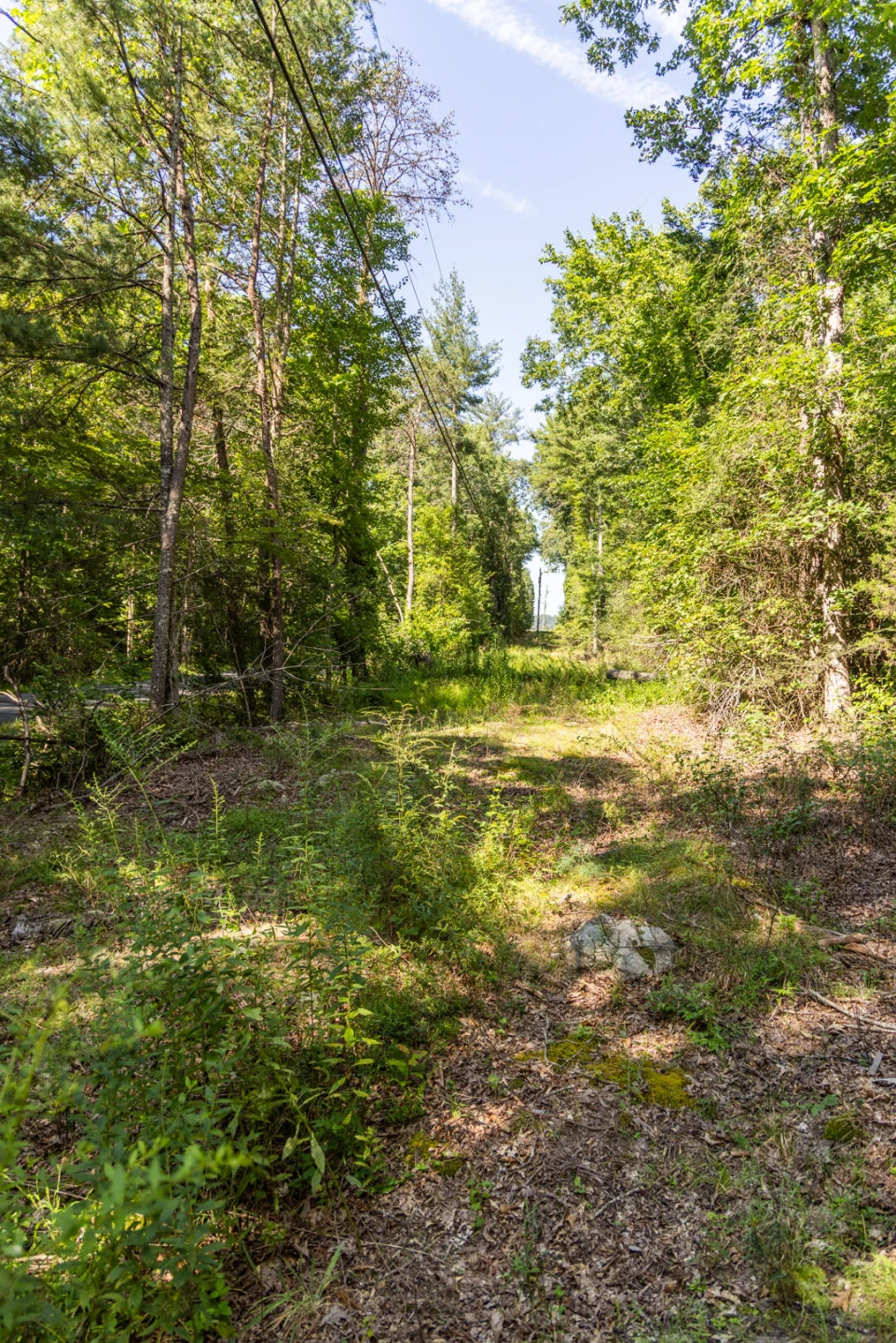 0 Dunbrack Rd - Photo 43