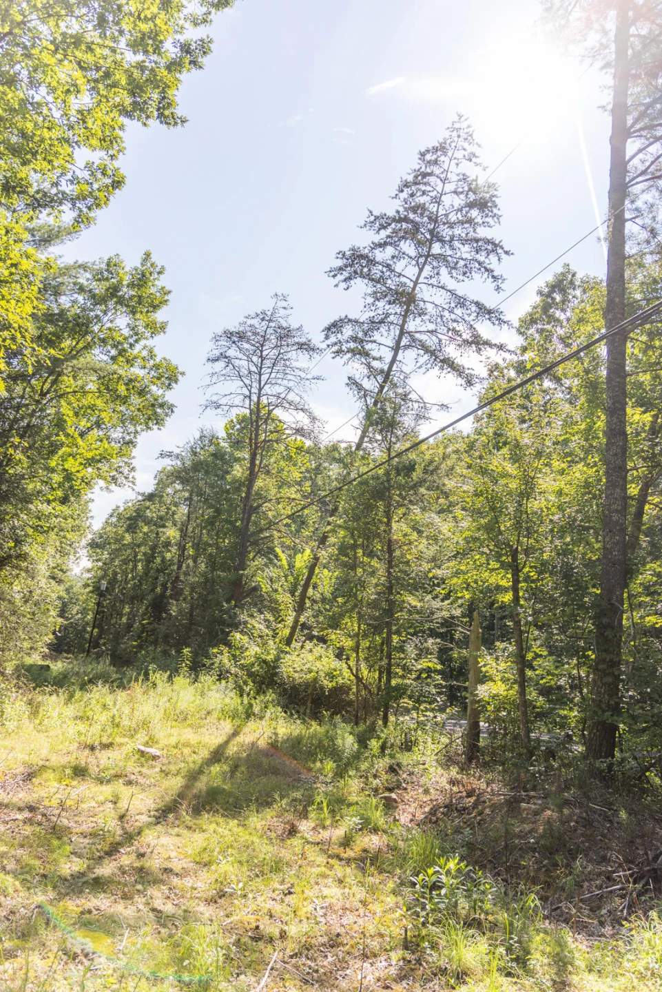 0 Dunbrack Rd - Photo 44