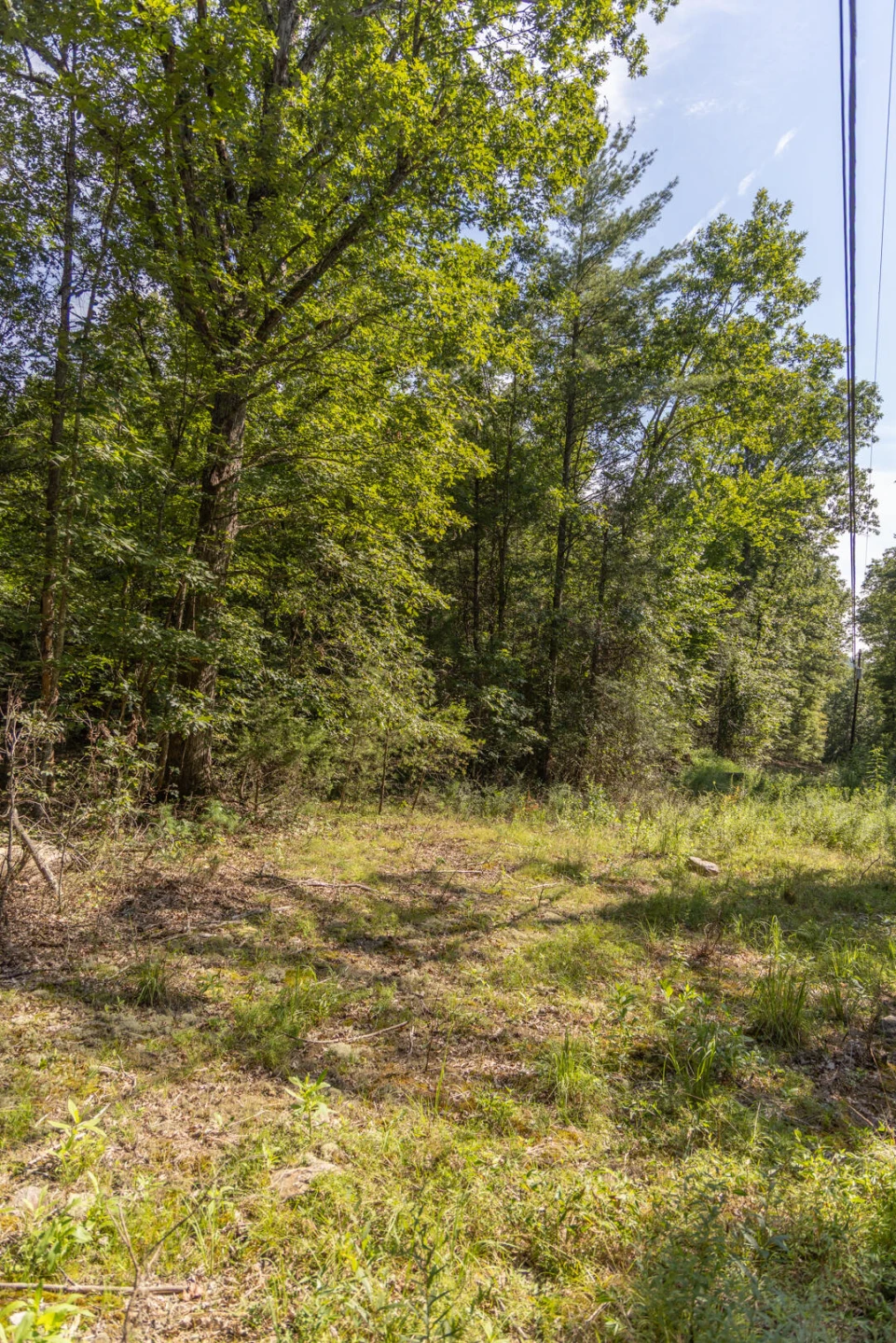 0 Dunbrack Rd - Photo 45