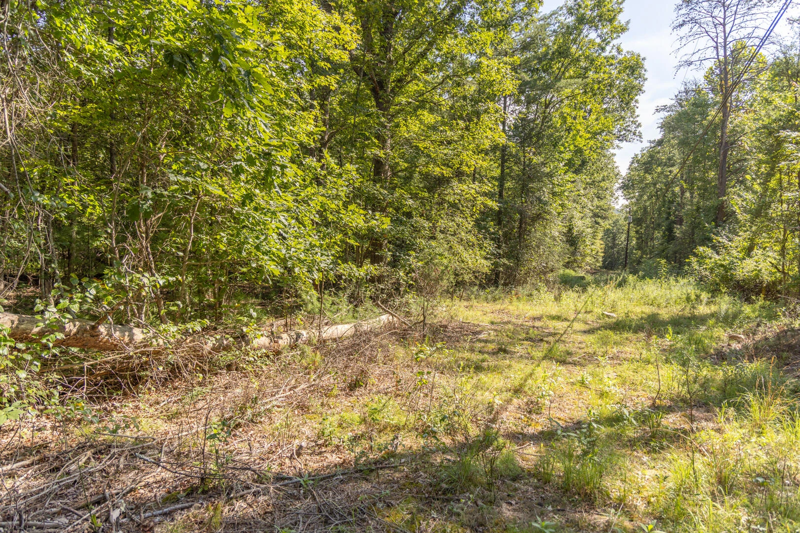 0 Dunbrack Rd - Photo 7