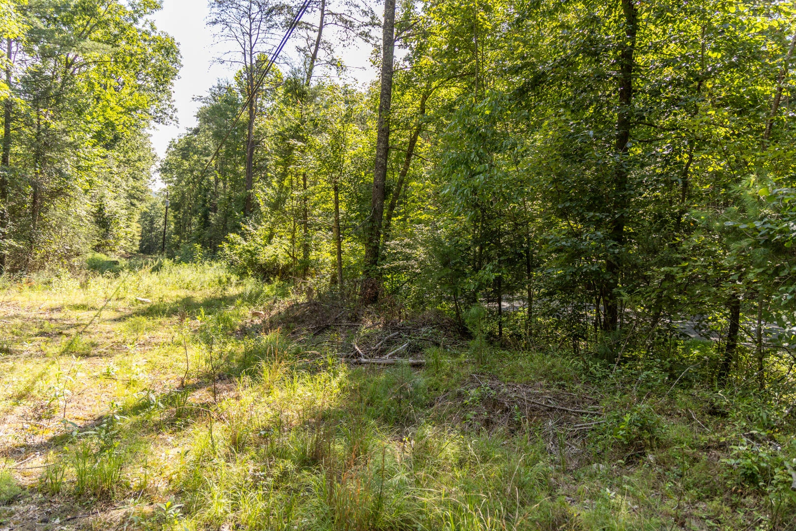 0 Dunbrack Rd - Photo 8