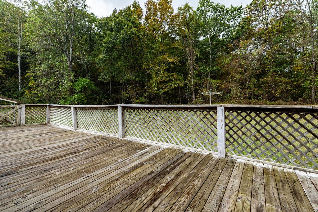 1567 Blue Grass Hollow Rd - Photo 33