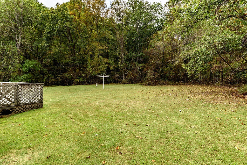 1567 Blue Grass Hollow Rd - Photo 34