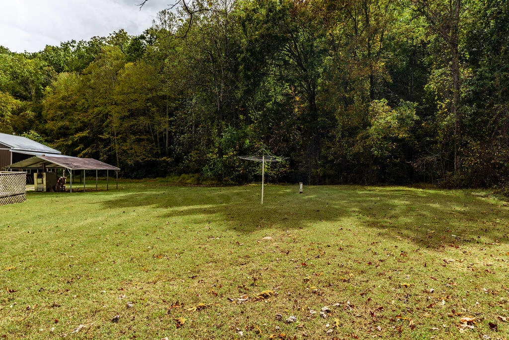 1567 Blue Grass Hollow Rd - Photo 35