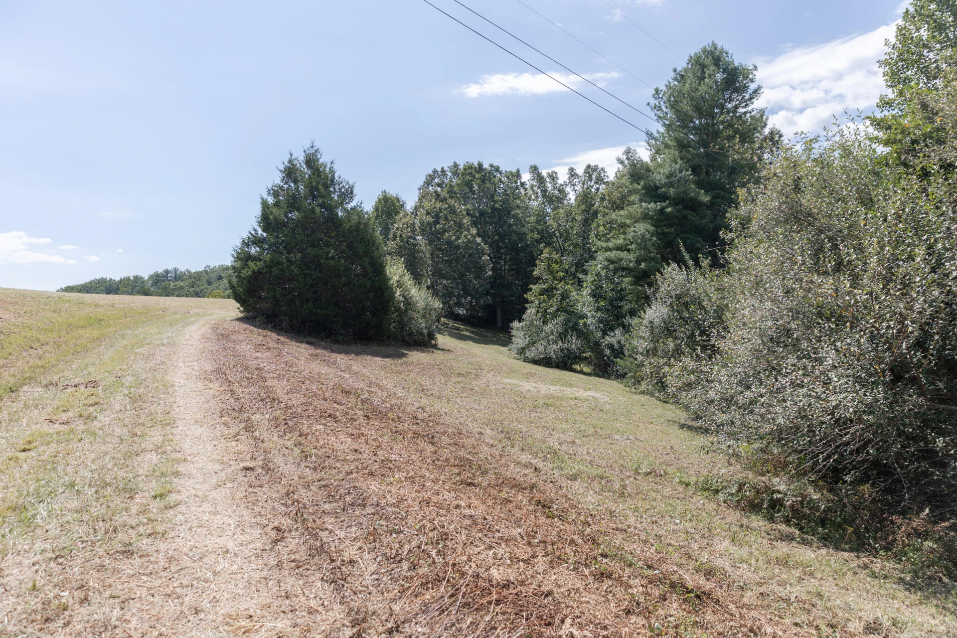 10 ac. TBD Adair Hill Drive - Photo 10