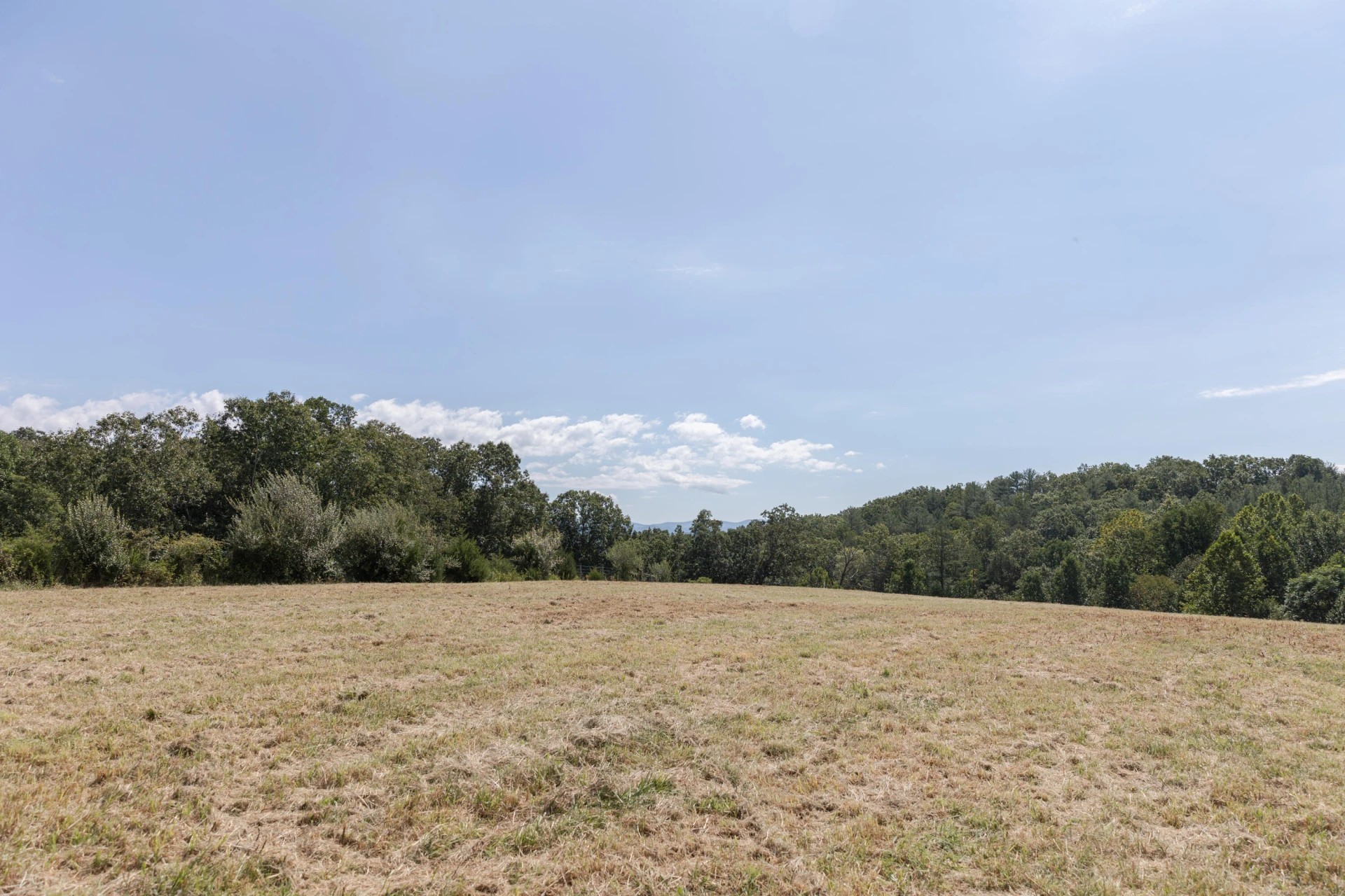 10 ac. TBD Adair Hill Drive - Photo 11
