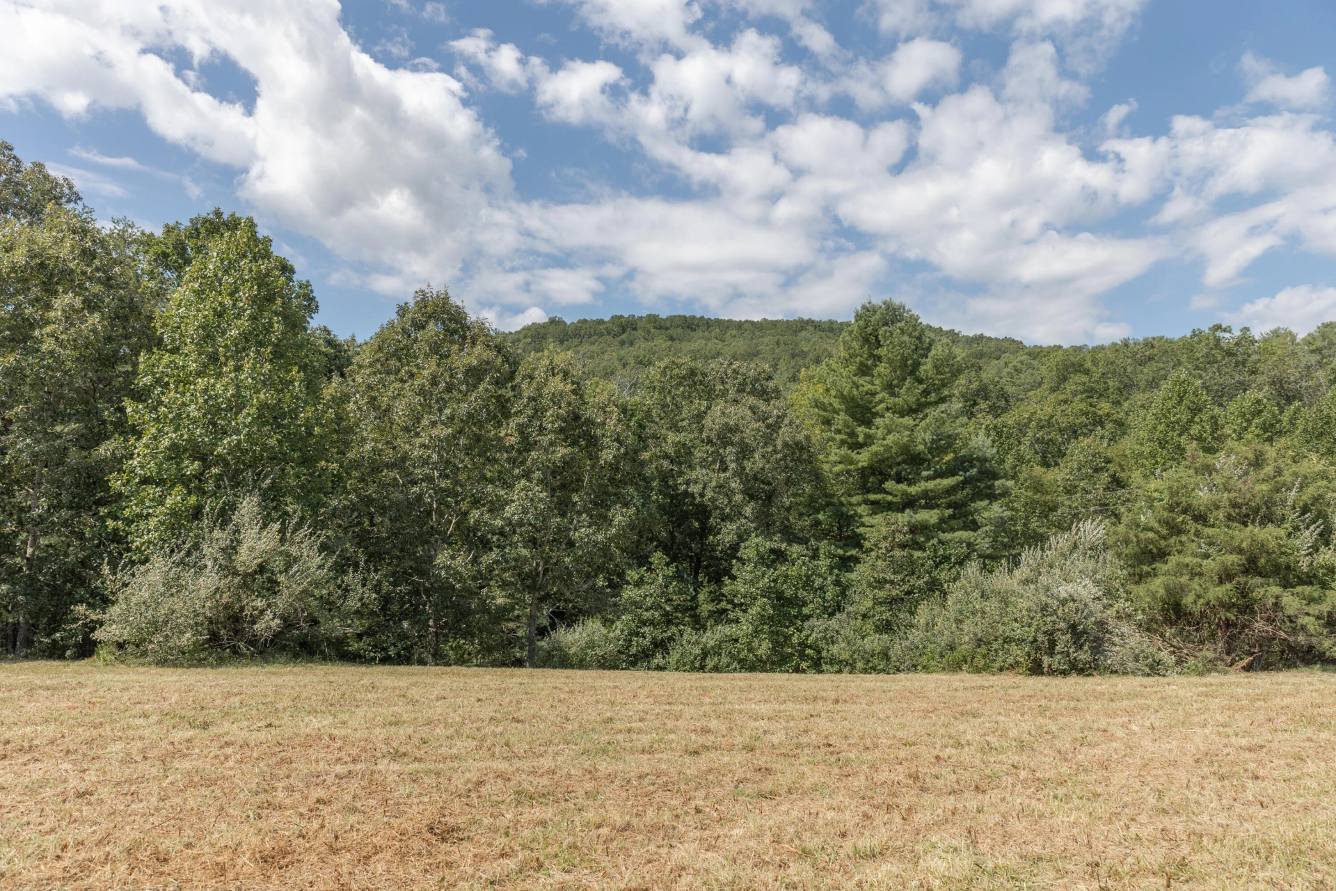 10 ac. TBD Adair Hill Drive - Photo 12
