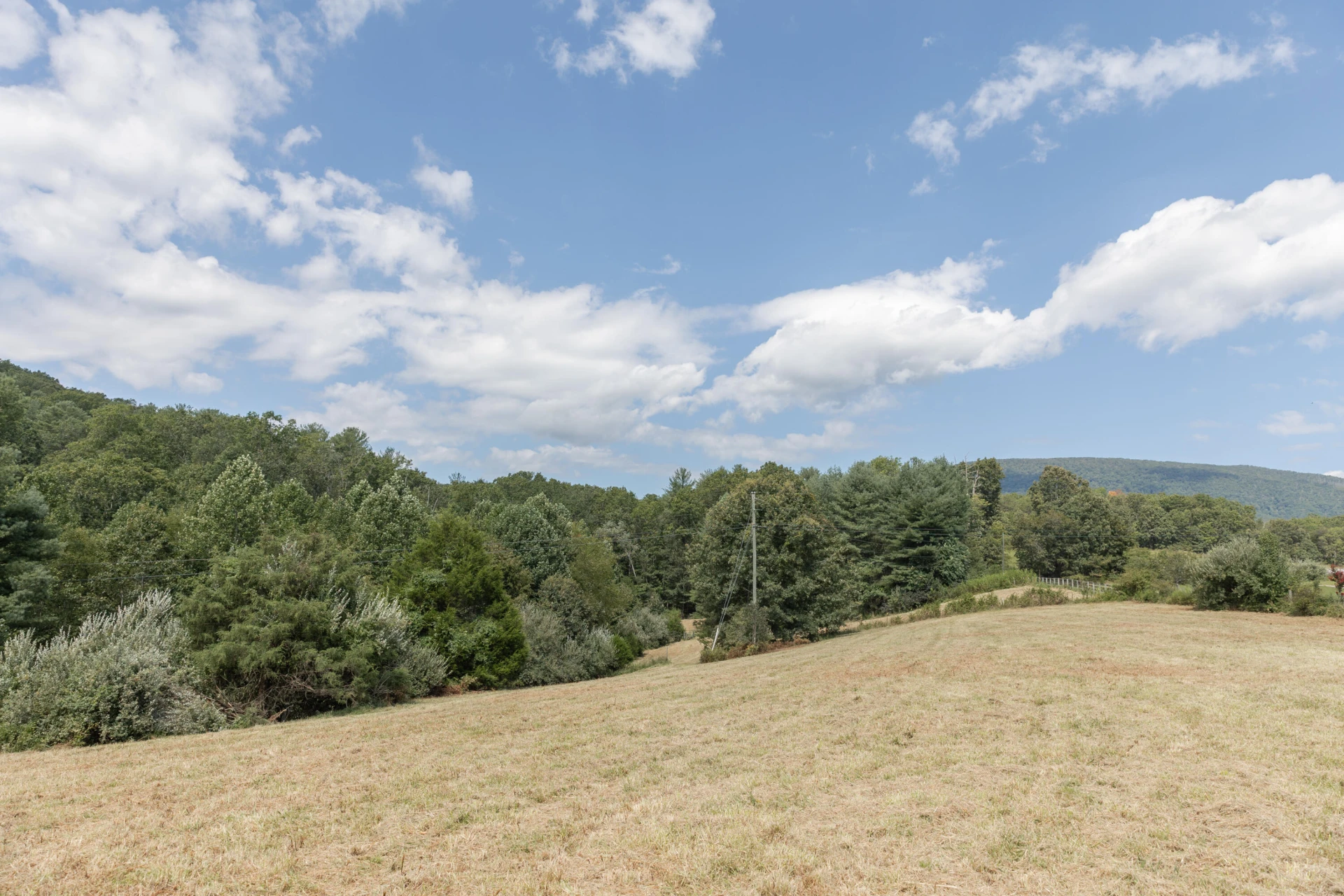 10 ac. TBD Adair Hill Drive - Photo 13
