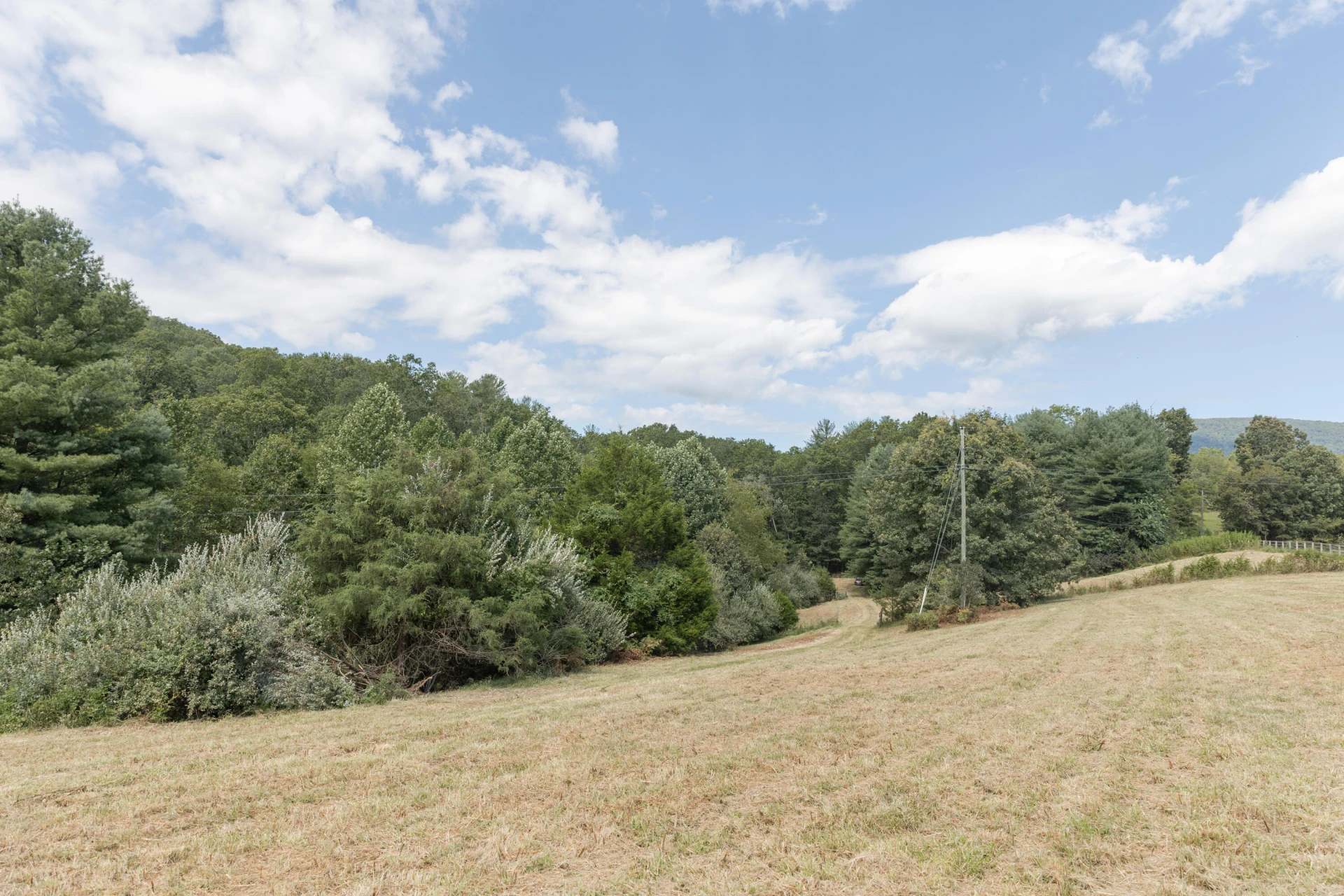 10 ac. TBD Adair Hill Drive - Photo 14