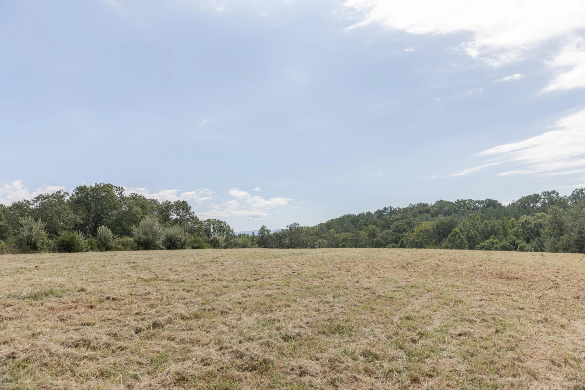 10 ac. TBD Adair Hill Drive - Photo 15
