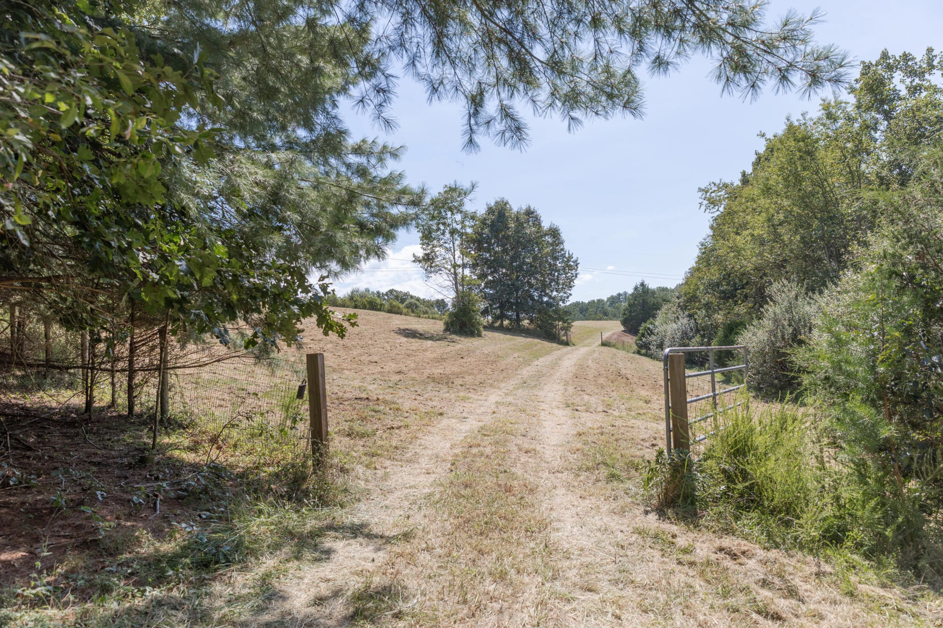 10 ac. TBD Adair Hill Drive - Photo 2