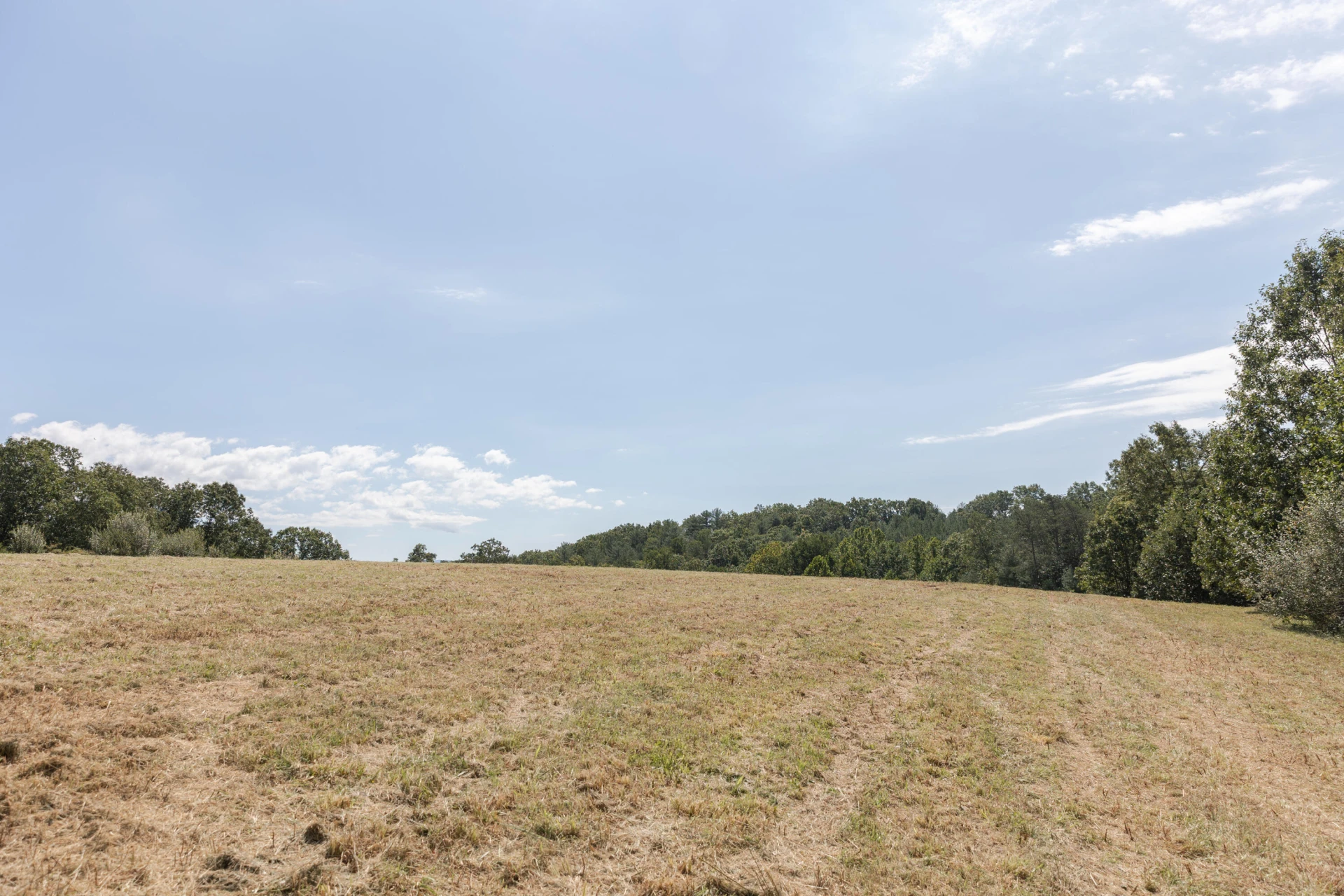 10 ac. TBD Adair Hill Drive - Photo 3