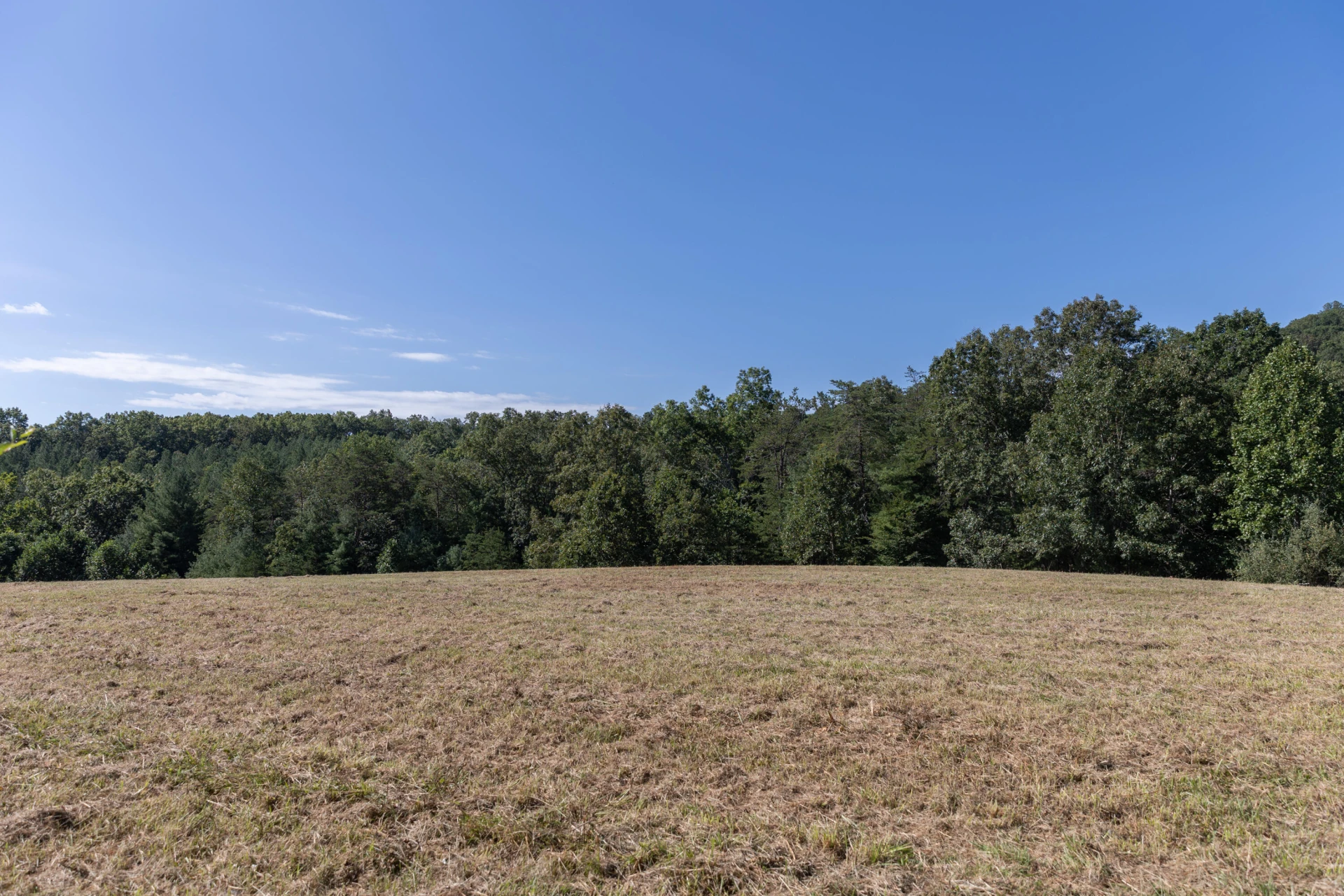 10 ac. TBD Adair Hill Drive - Photo 4