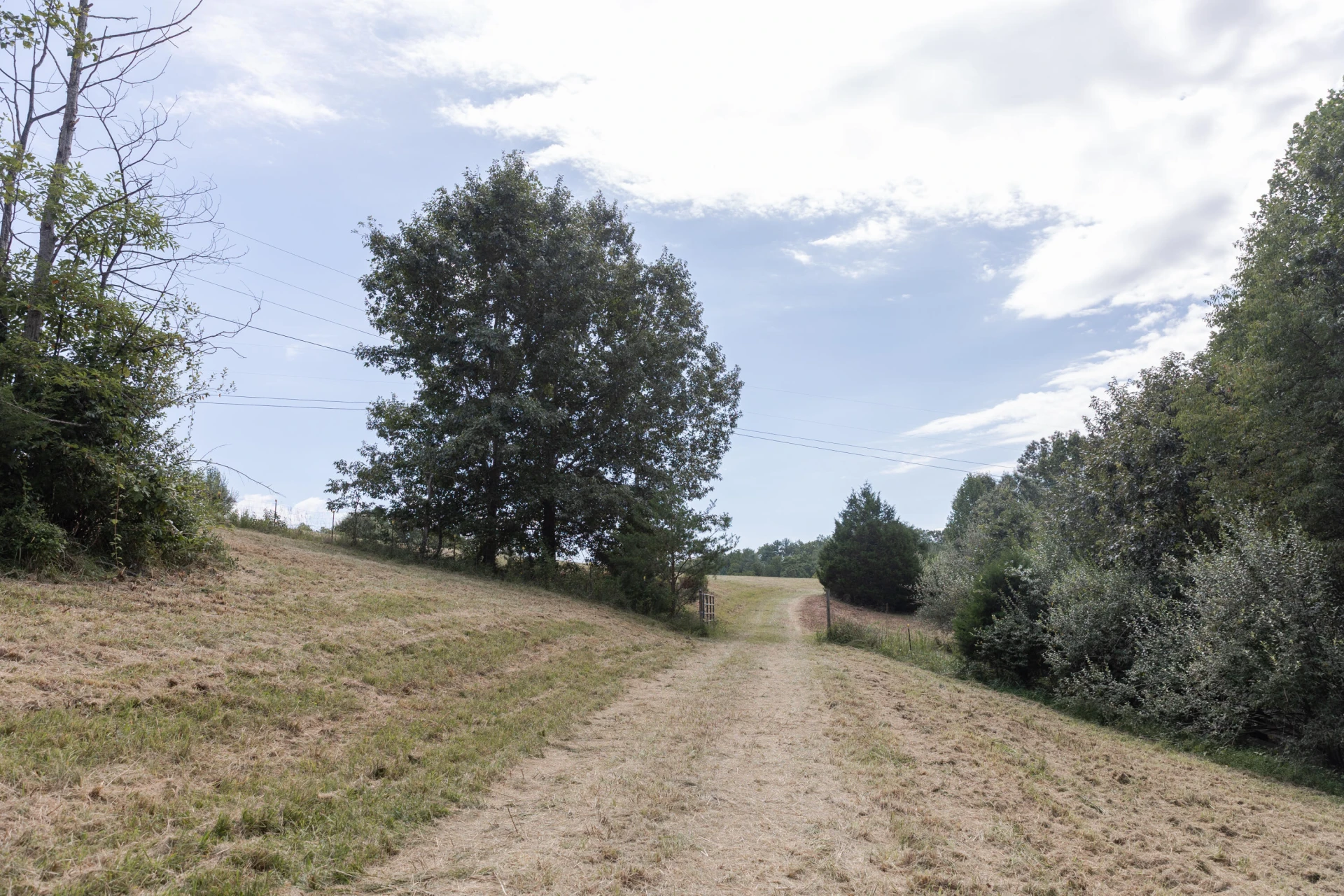 10 ac. TBD Adair Hill Drive - Photo 5