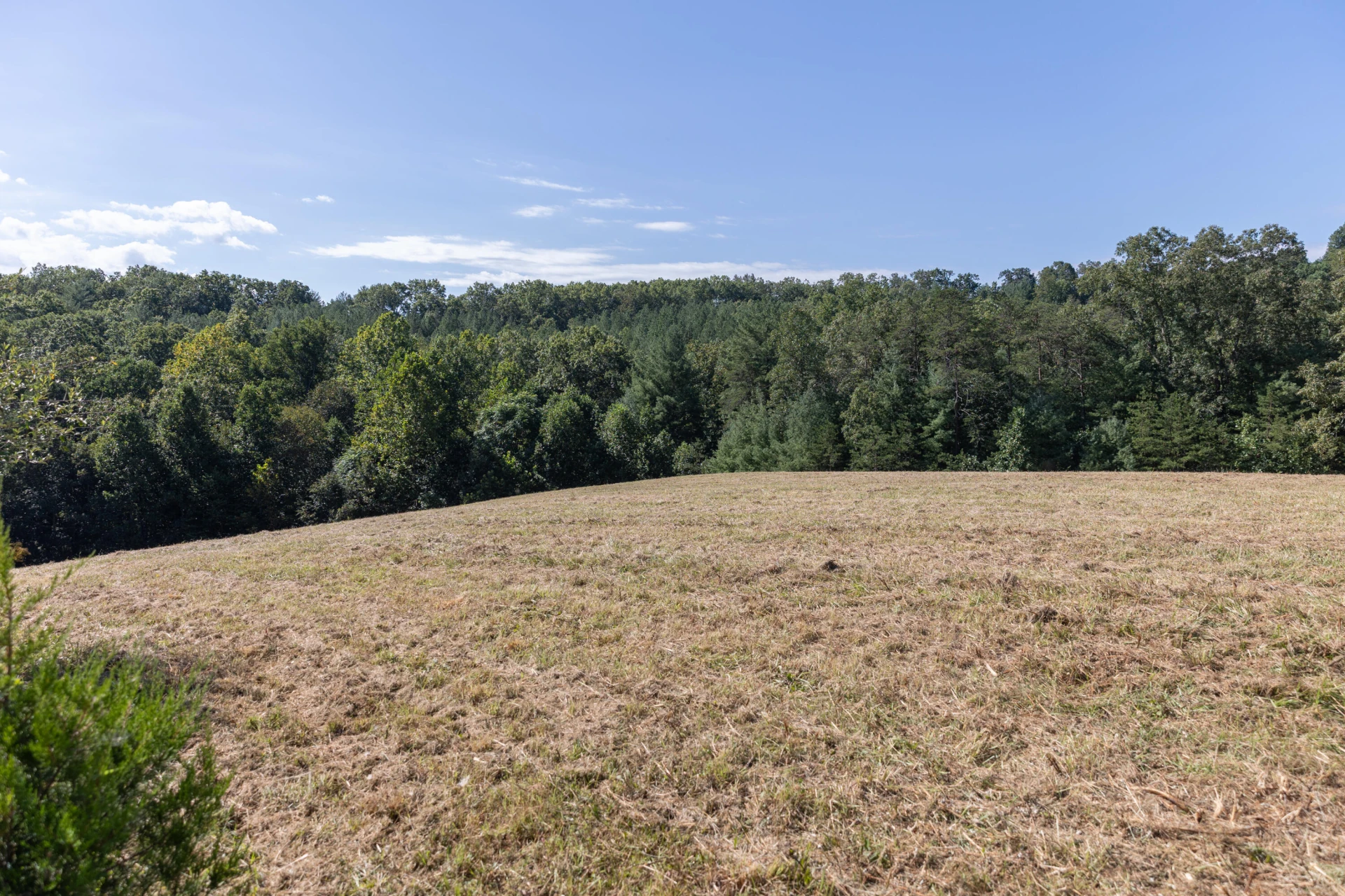 10 ac. TBD Adair Hill Drive - Photo 6