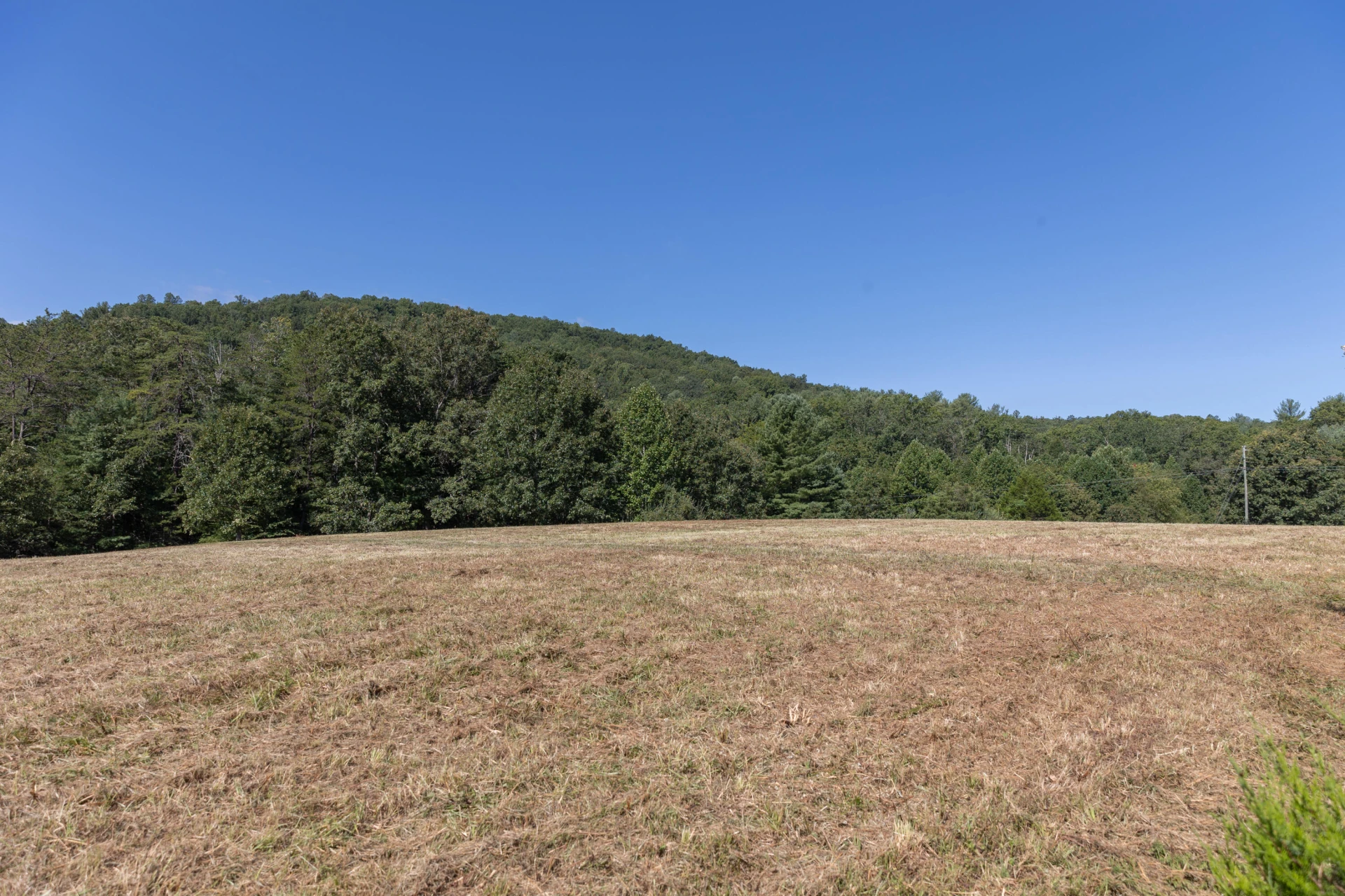 10 ac. TBD Adair Hill Drive - Photo 7