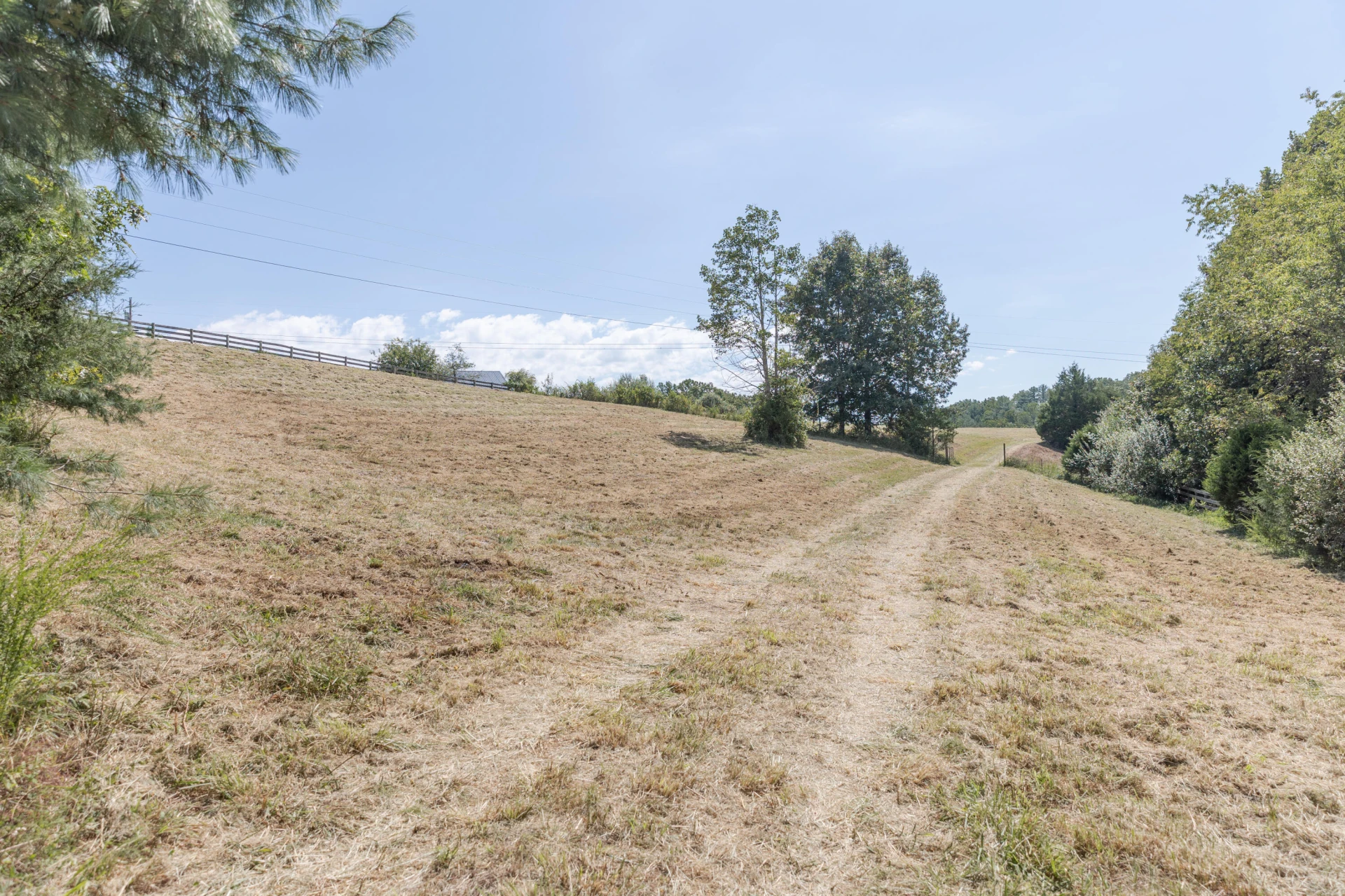 10 ac. TBD Adair Hill Drive - Photo 8