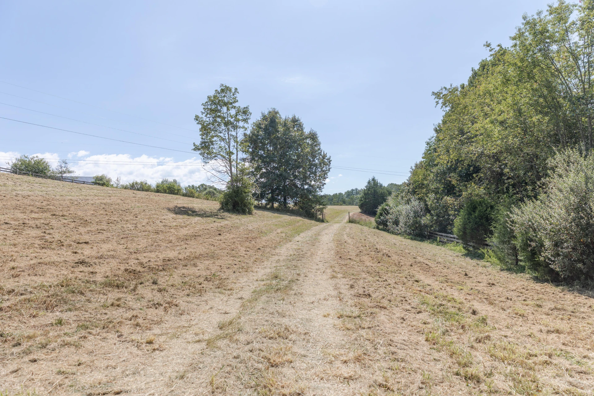 10 ac. TBD Adair Hill Drive - Photo 9