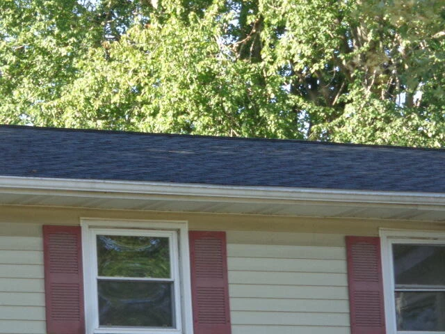 213 E 35th St - Photo 22