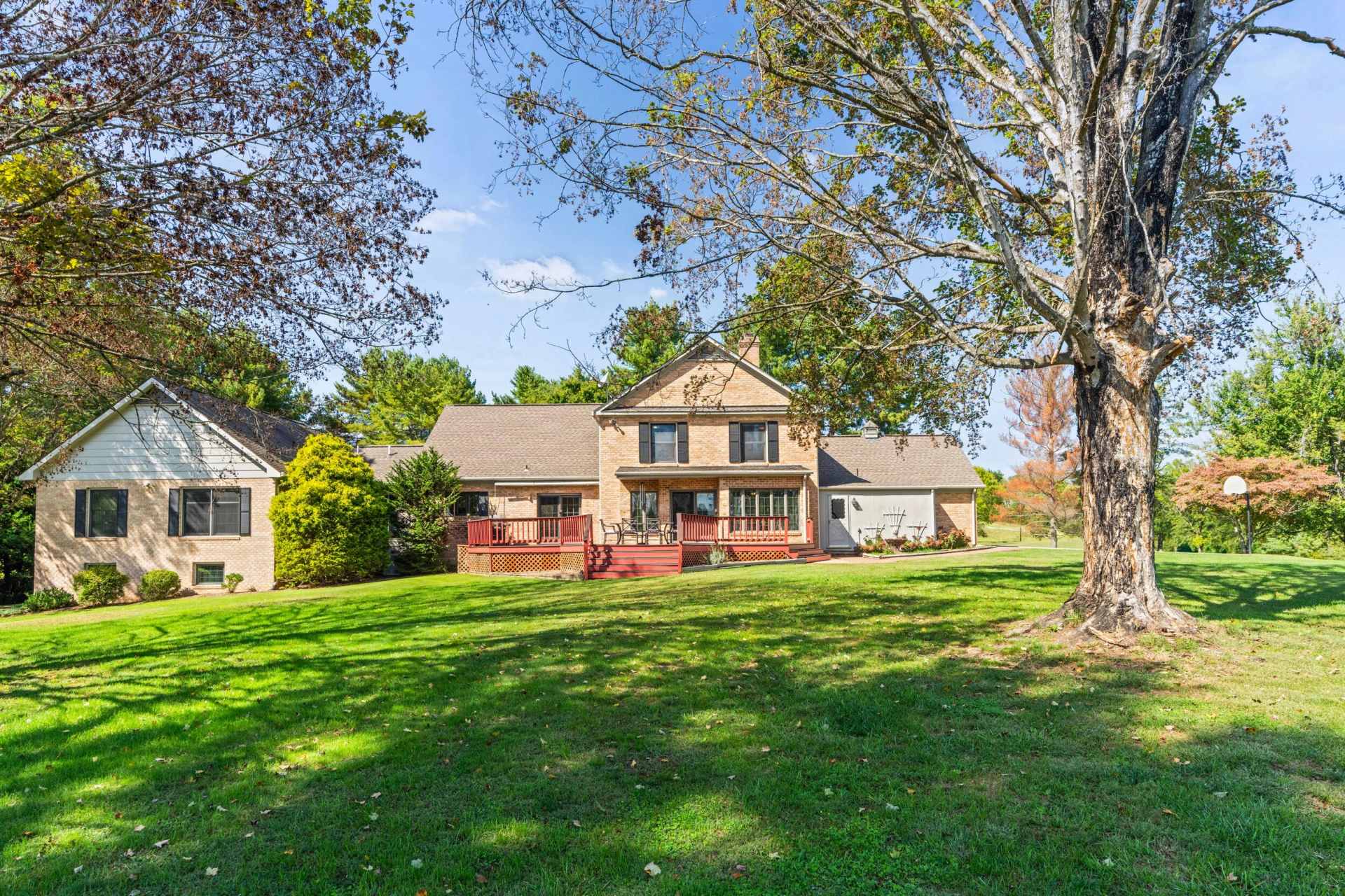 1109 Ross Rd. Rd - Photo 54
