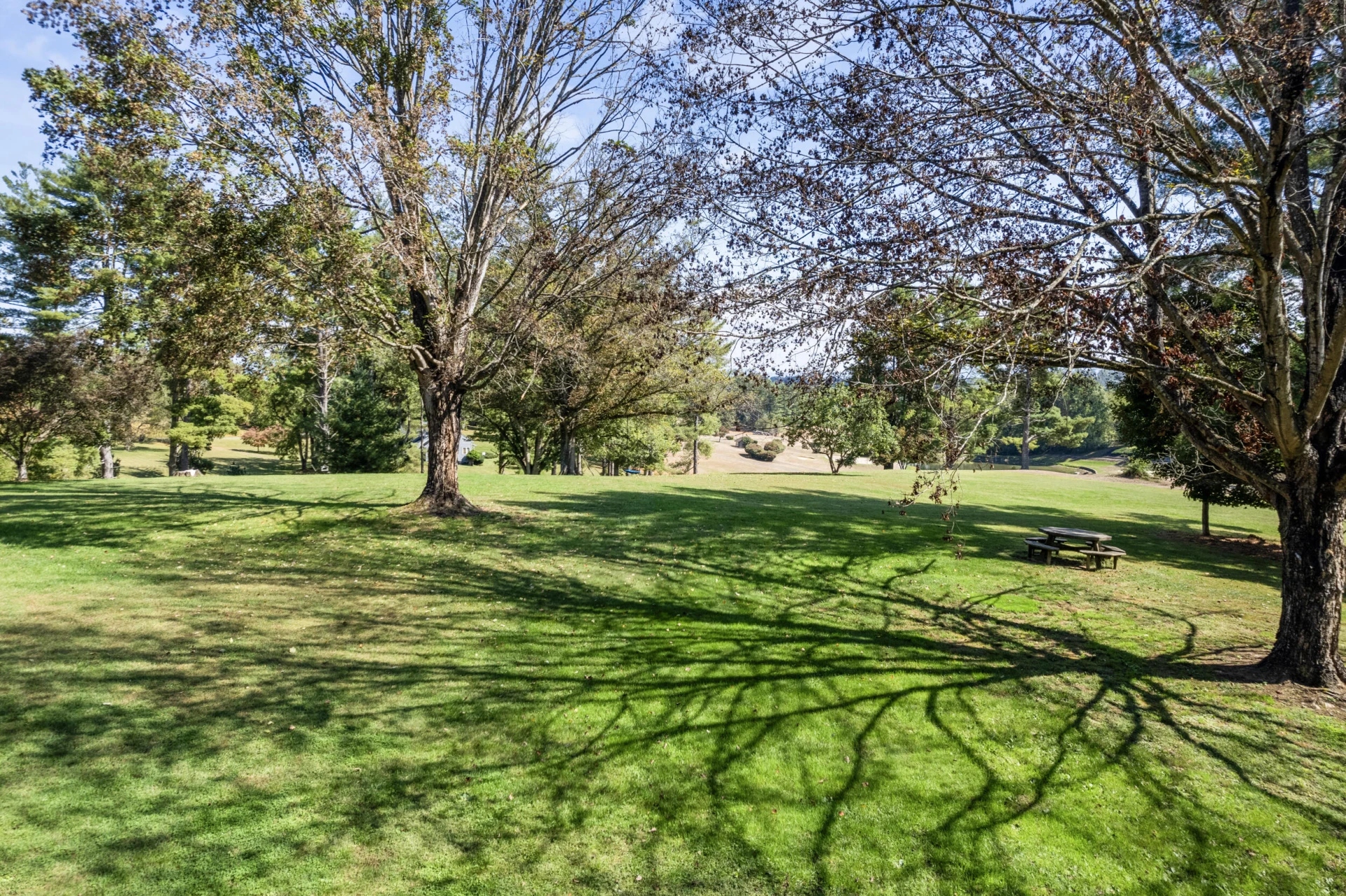 1109 Ross Rd. Rd - Photo 62