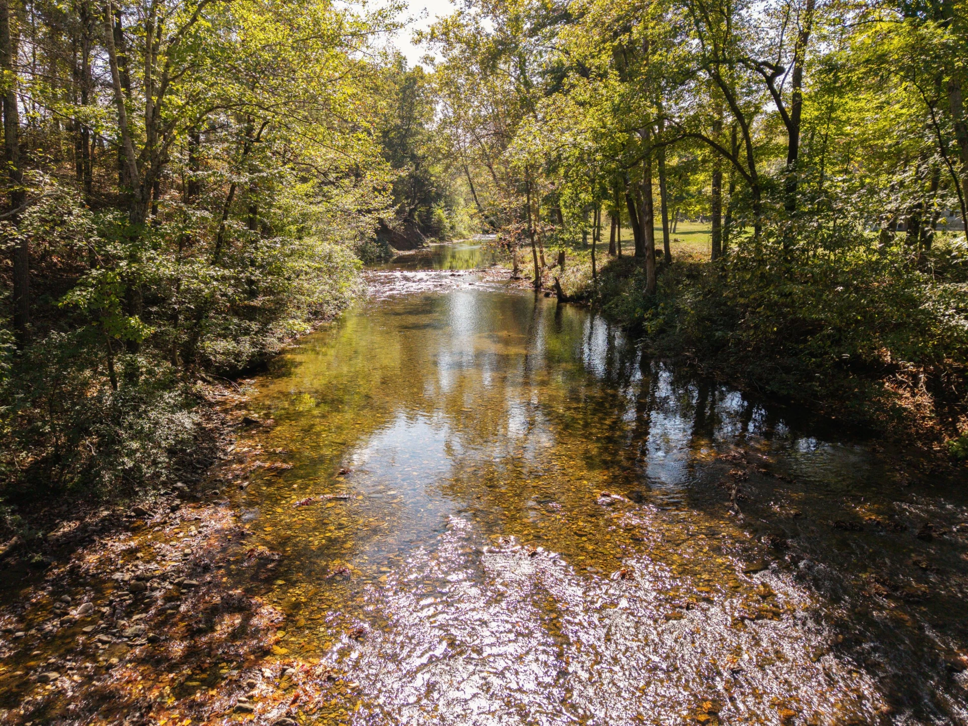 4200 Potts Creeks Rd - Photo 33