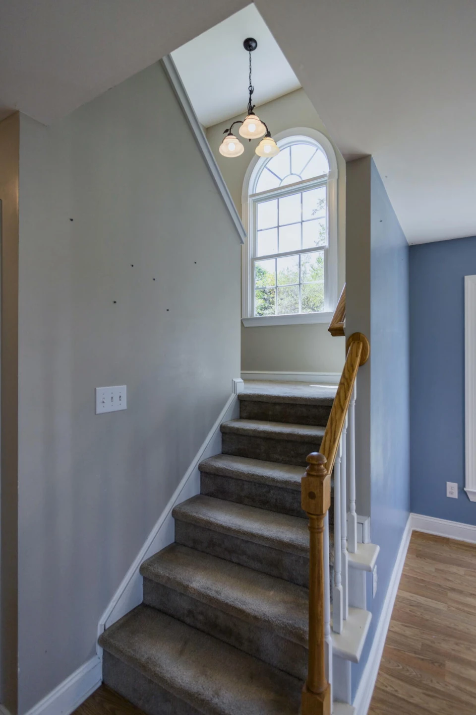 50 Lock Raven Ln - Photo 17