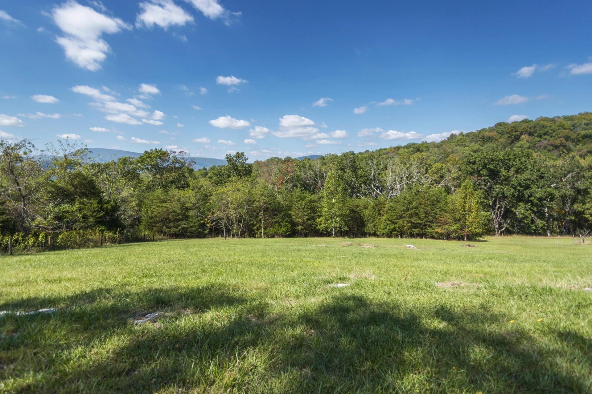 50 Lock Raven Ln - Photo 42