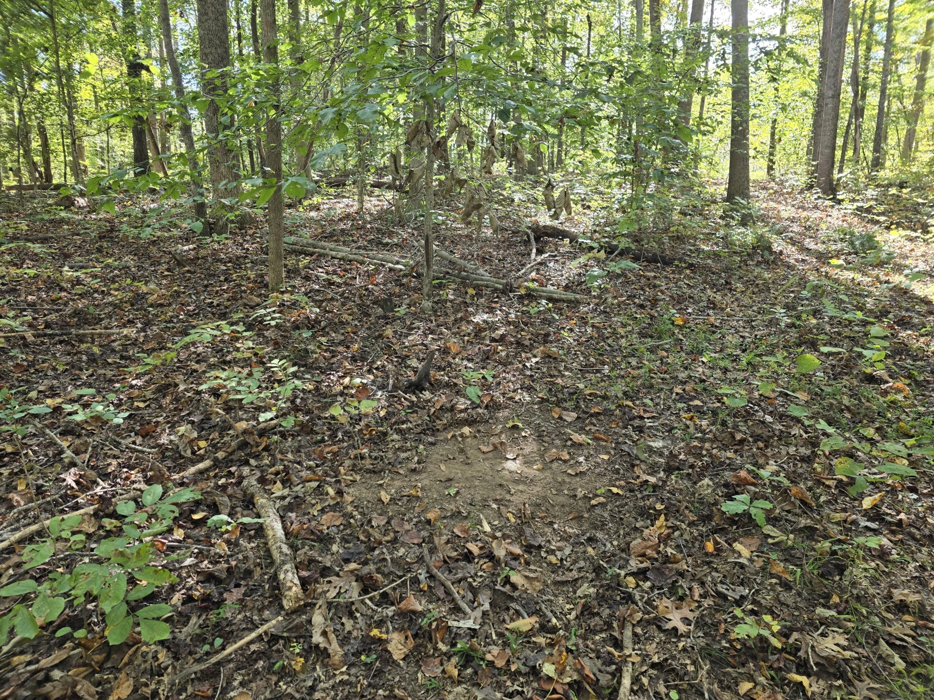 0 Salisbury Rd. Rd - Photo 10