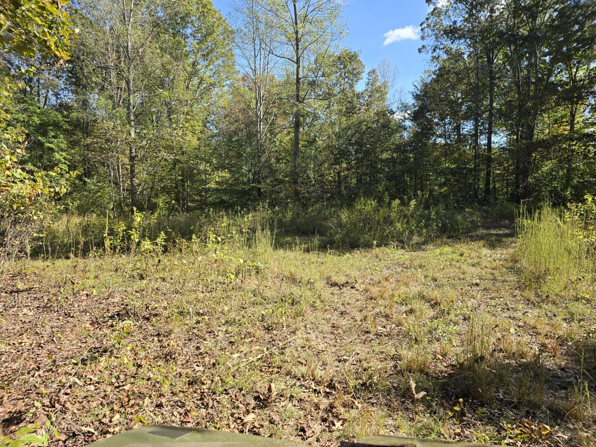 0 Salisbury Rd. Rd - Photo 11