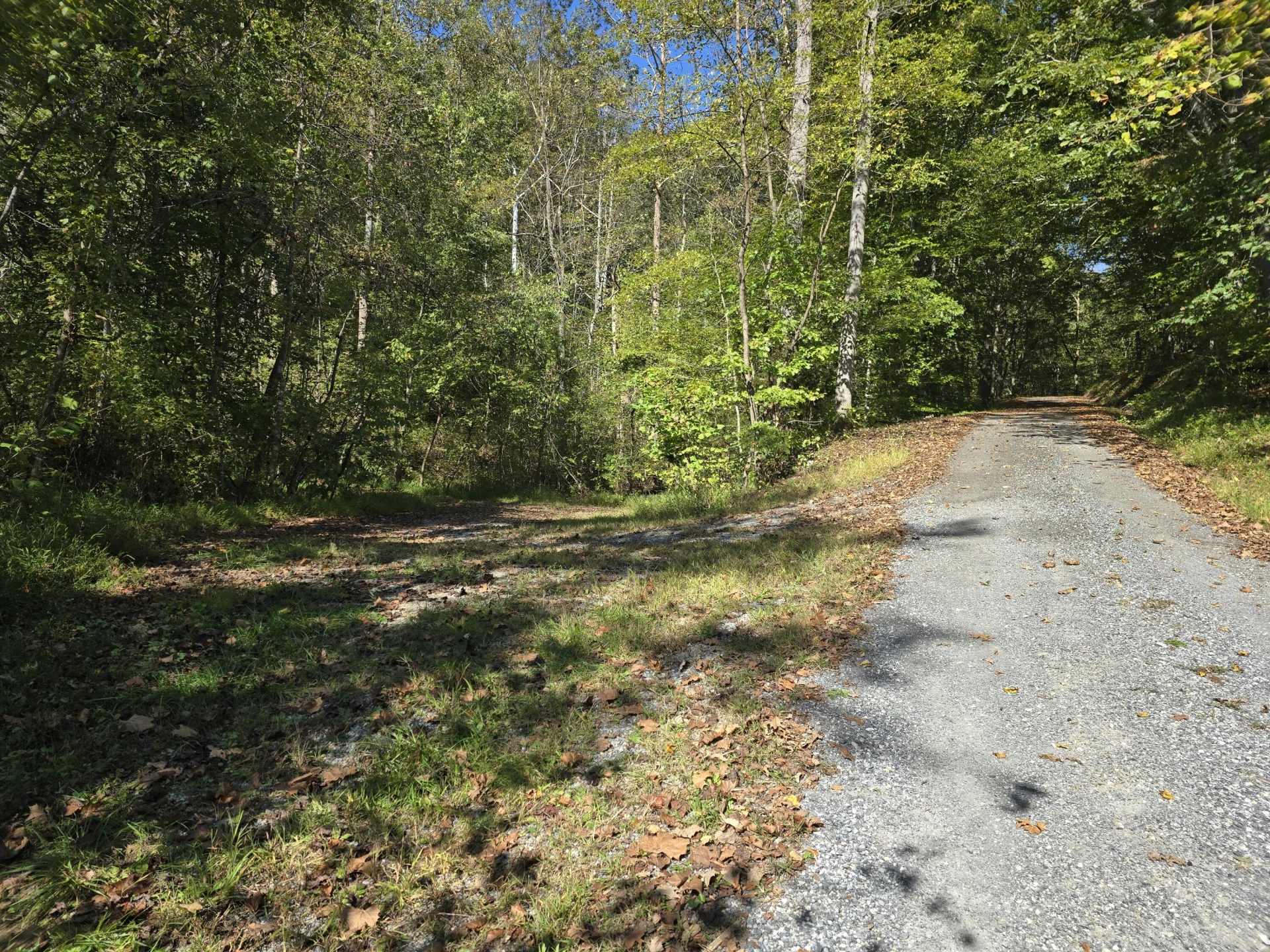 0 Salisbury Rd. Rd - Photo 4