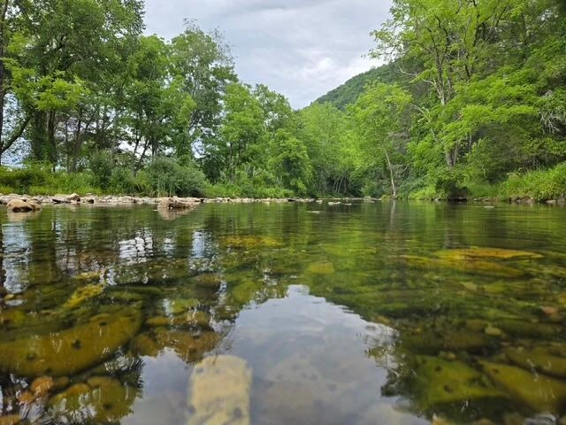 2000 Big Back Creek Rd - Photo 3