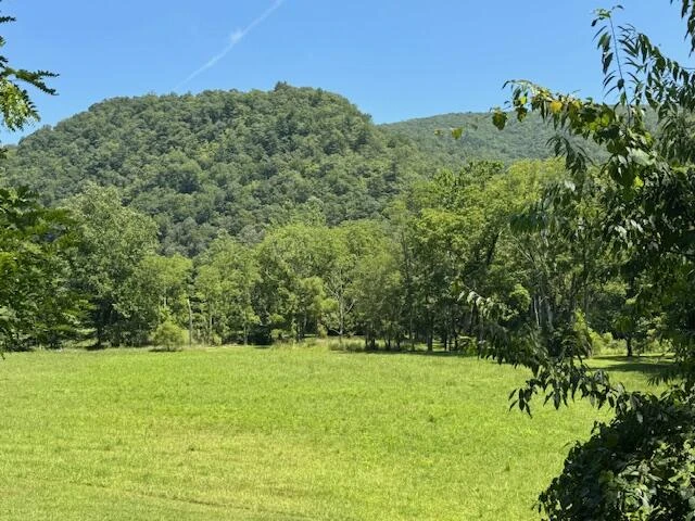 2000 Big Back Creek Rd - Photo 32