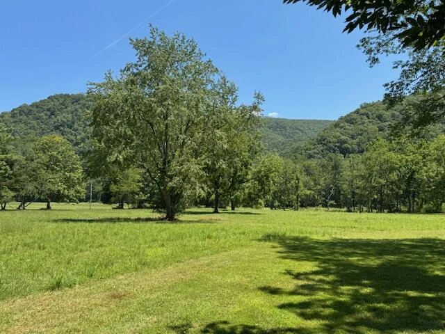 2000 Big Back Creek Rd - Photo 33
